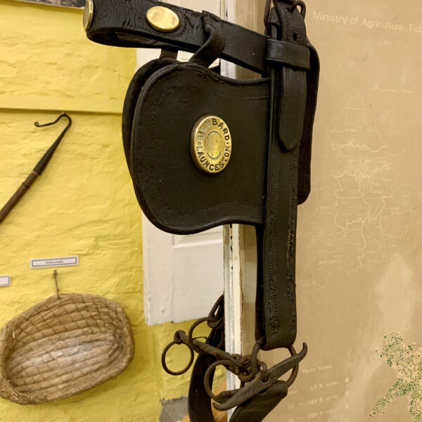 Gillbard Bridle