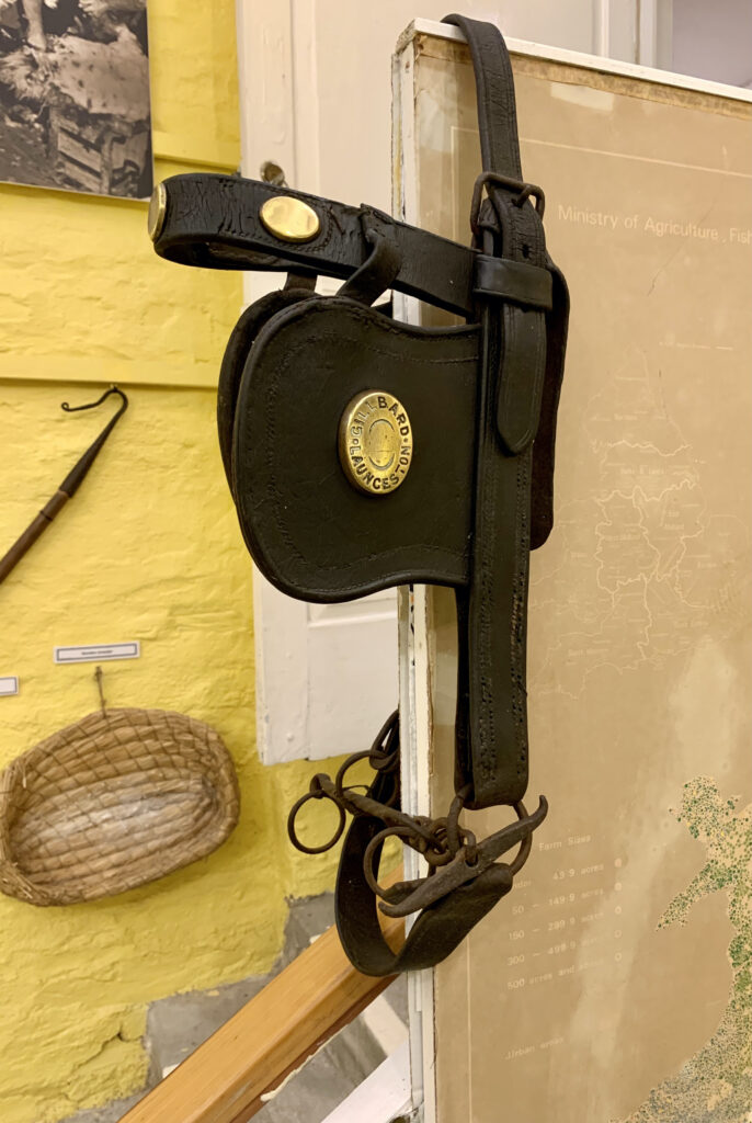 Gillbard Bridle
